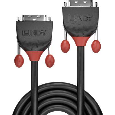 Lindy 36254 DVI kabel 5 m DVI-D Sort