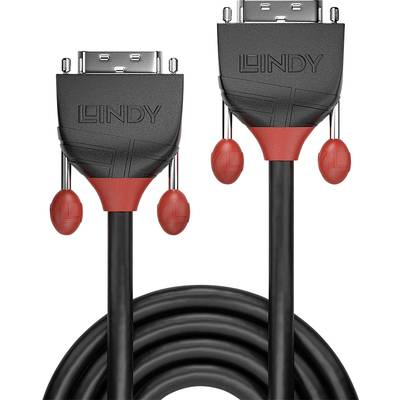 Lindy 36258 DVI kabel 5 m DVI-D Sort