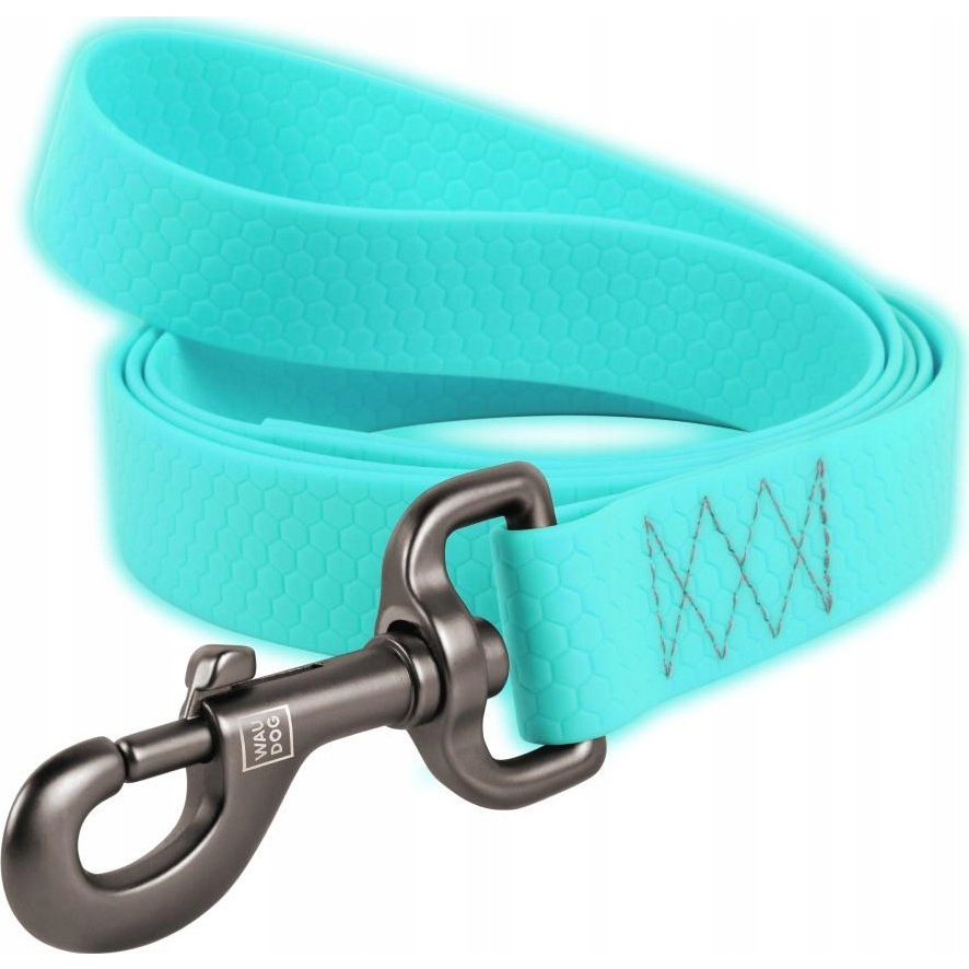WAUDOG waterproof light accumulating dog leash, 25 mm wide, 183 cm long blue (4201000090-2)