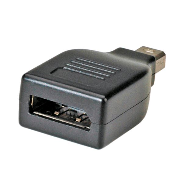 ROLINE DisplayPort adaptér, DP F - Mini DP M černý