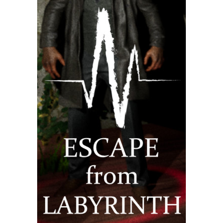 Escape from Labyrinth (PC - Steam elektronikus játék licensz)