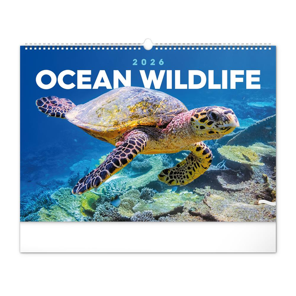 REALSYSTEM Falinaptár képes  480×330mm Ocean Wildlife  2026. (6094-OC)
