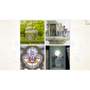 Gorogoa
