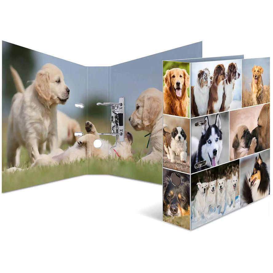 Herma Hunde A4 Karton Gyűrűs iratrendező - Kutyák mintás (7165)