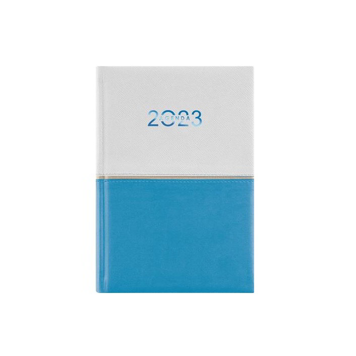 Dayliner Contrast A5 2023 Napi naptár - Fehér/világoskék (DL3AG-CRFA5NA-FK)