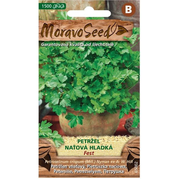 Levélpetrezselyem (2532mm)