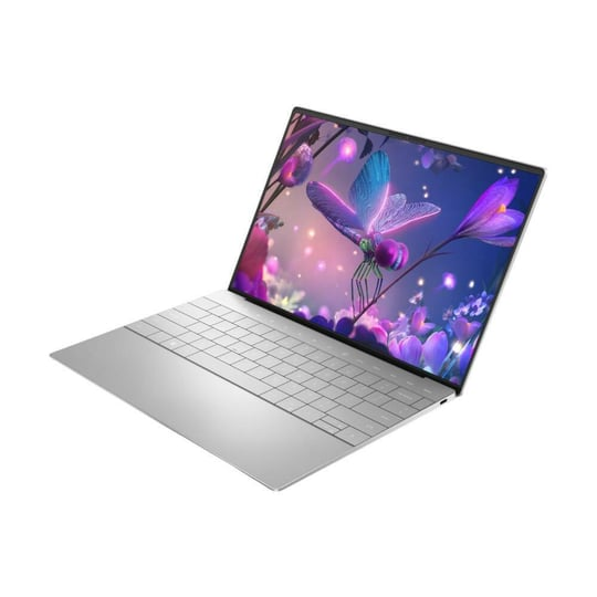 Laptop Dell XPS 13 Plus 9320 Platinum (32GB) (Touchscreen)