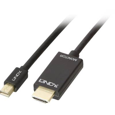 Lindy 36928 videokabel adapter 3 m Mini DisplayPort HDMI Type A (Standard) Sort