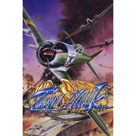 Twin Hawk (PC - Steam elektronikus játék licensz)