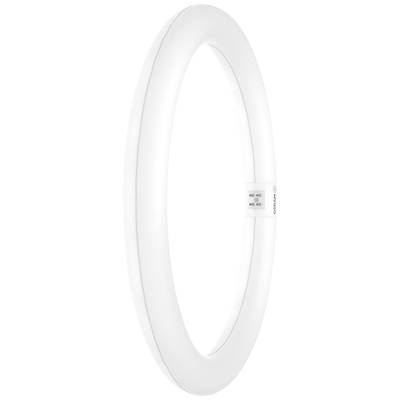 OSRAM LED trubice T9C EM 32, 18,3W, 2200lm, 4000K