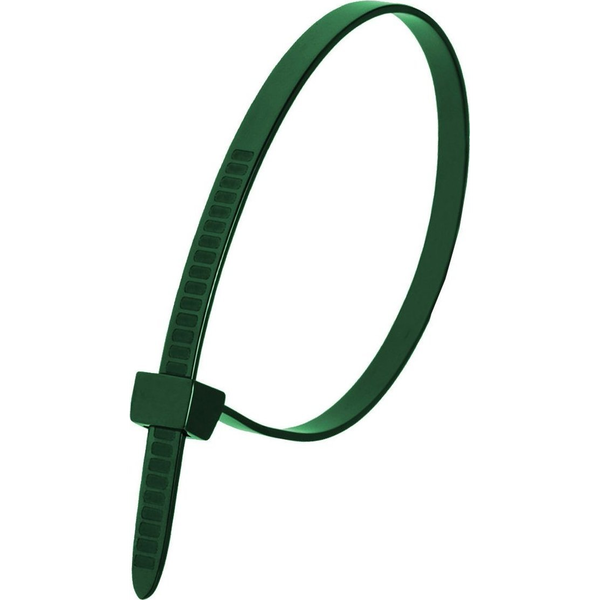  Dedra Nylonowe opaski zaciskowe zielone 2,5x200mm (100szt.)