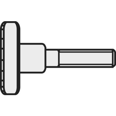 Toolcraft kézi szorítású galvanizált acél csavar M4 x 8 mm, DIN 464, 10 db 521923 (192173)