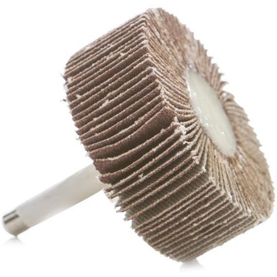 ABRASIVE FLAP WHEEL 50X20X6 NO100