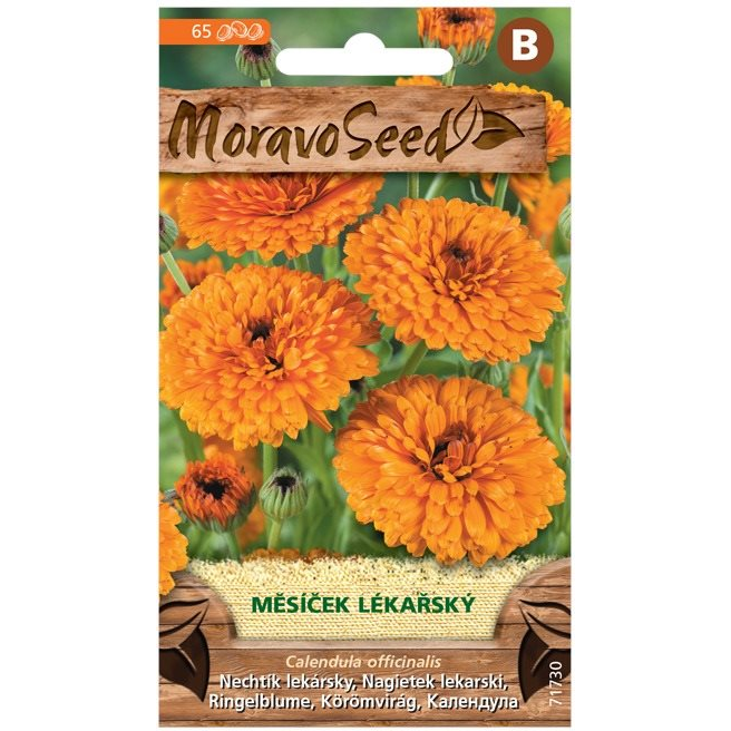 MORAVOSEED Körömvirág (1780mm)