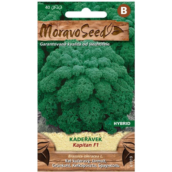 Kelkáposzta KAPITAL F1 - hibrid, zöld (1093mm)