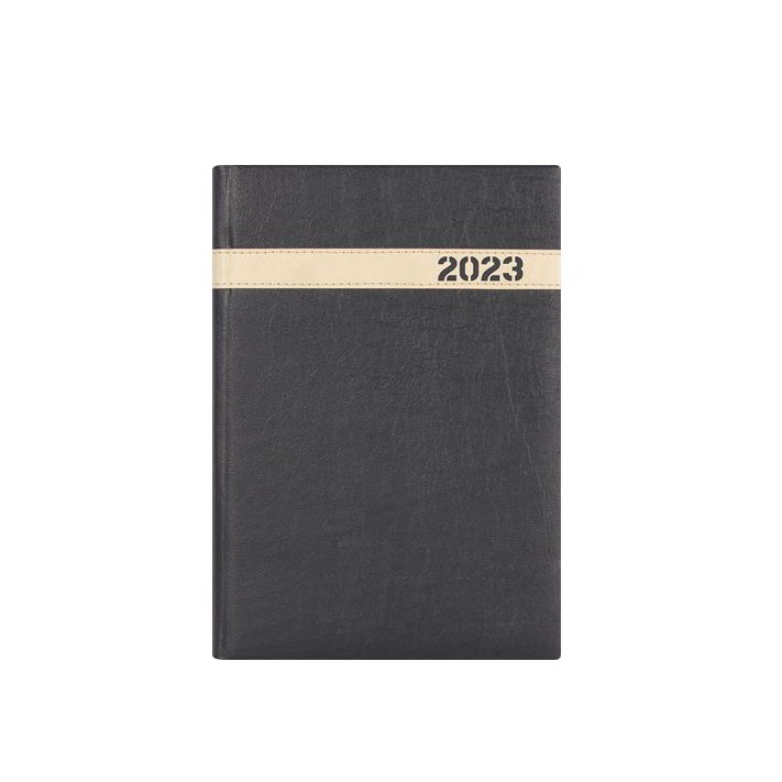 Dayliner The Boss A5 2023 Napi naptár - Fekete (DL2AG-BOFA5NA-FK)