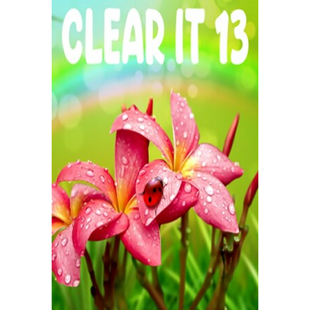 ClearIt 13 (PC - Steam elektronikus játék licensz)